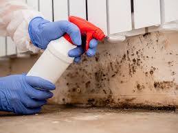 Best Mold Remediation for Healthcare Facilities  in Vernon, TX